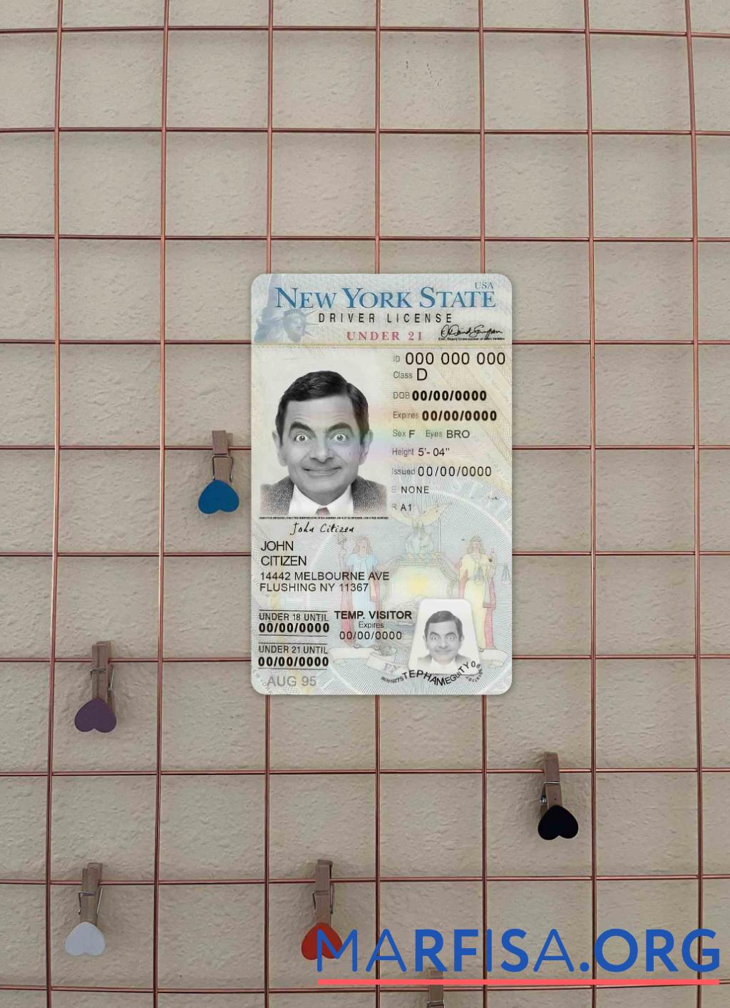 Printable USA New York driving license under 21 photolook example